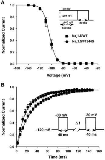 Fig. 5. (A) Steady-state availability curve was determined by using 500 ms conditioning pulses to voltages between 140 and 30 mV to a standard test pulse to either 30 mV (see inset)