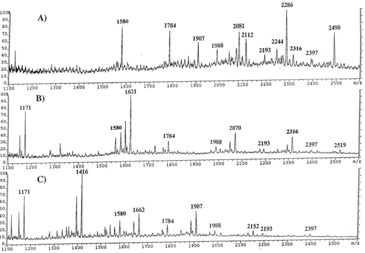 Fig. 3. FAB-mass spectra of permethylated N-glycans from megalin after α-galactosidase digestion (A), β-N-acetylhexosaminidase digestion (B) and β- β-galactosidase digestion (C)