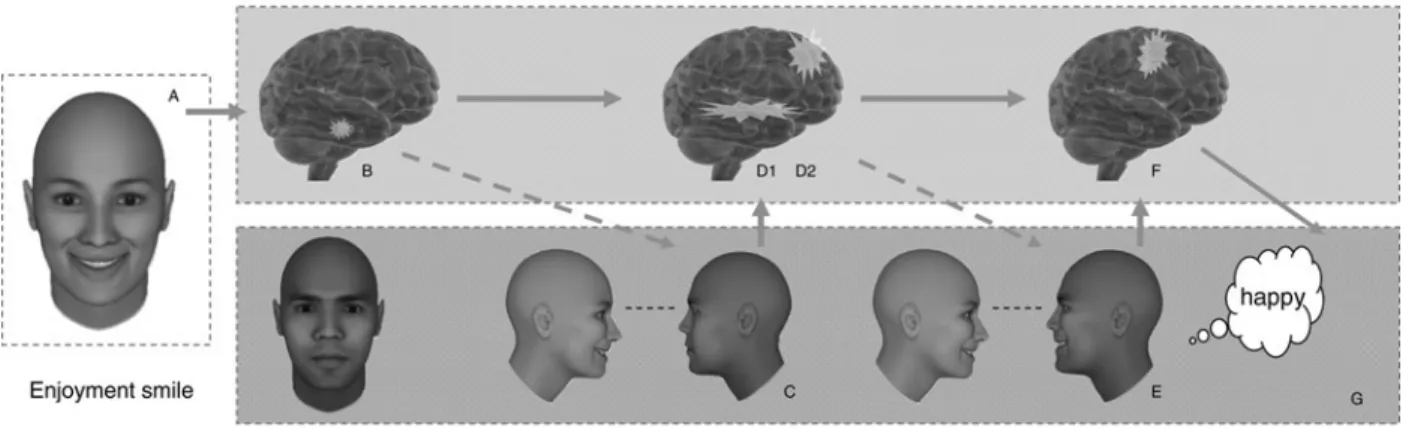 Figure 4. The top panel illustrates the case of an enjoyment smile (A) presented such that the meaning is initially uncertain