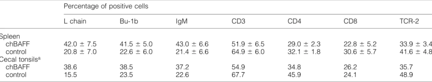 Table 3. Selective expansion of the B cell population in spleen and cecal tonsils of chBAFF-treated chicks Percentage of positive cells