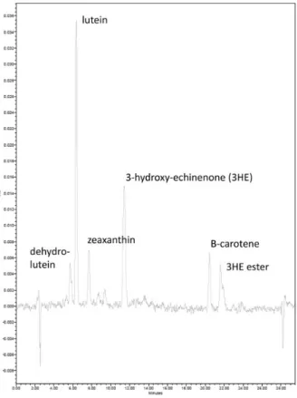 Fig. 1 Two-dimensional HPLC chromatogram depicting the ca- ca-rotenoids detected in plasma of house finches.