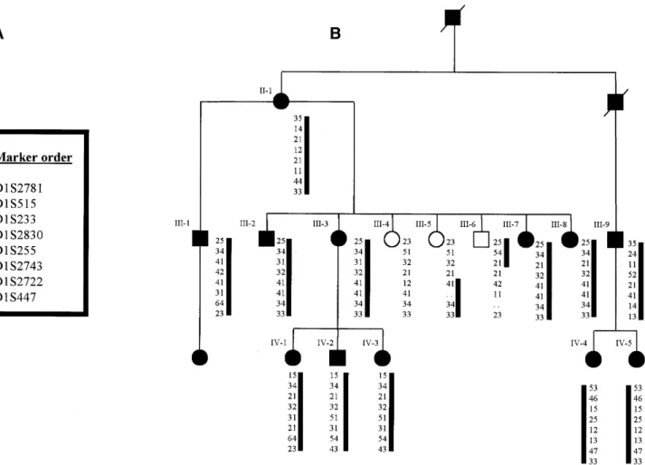 Figure 1. Pedigree of family FECDPed1 with autosomal dominant FECD showing haplotype from chromosome 1p34.3–p32