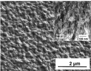 TABLE I. Elemental composition (wt%) of the electrodeposited nickel by means of GDOES measurements