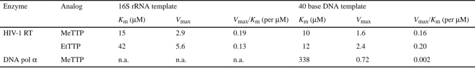 Table 1. Kinetic parameters of MeTTP and EtTTP incorporation into DNA