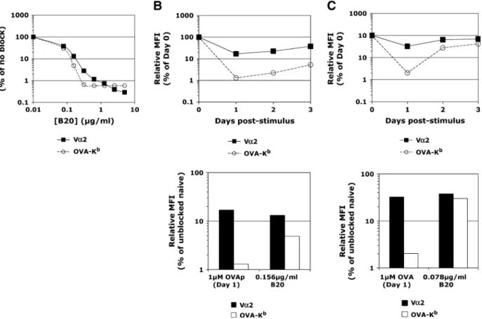 Fig. 2. Mimicking TCR down-regulation by antibody blockade on naive OT-I cells reveals an additional activation-induced effect that impacts peptide/MHC multimer binding
