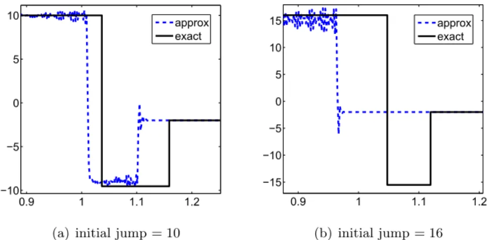 Figure 3.3. Approximation of strong nonclassical shocks for the cubic conservation law (2.5) using LeFloch and Mohamadian’s sixth-order scheme with controlled dissipation (3.4) with c = 5.