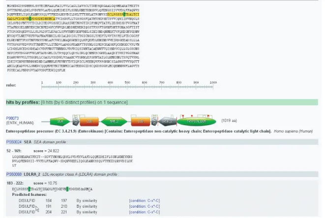 Figure 1. ScanProsite result page (rich view mode).