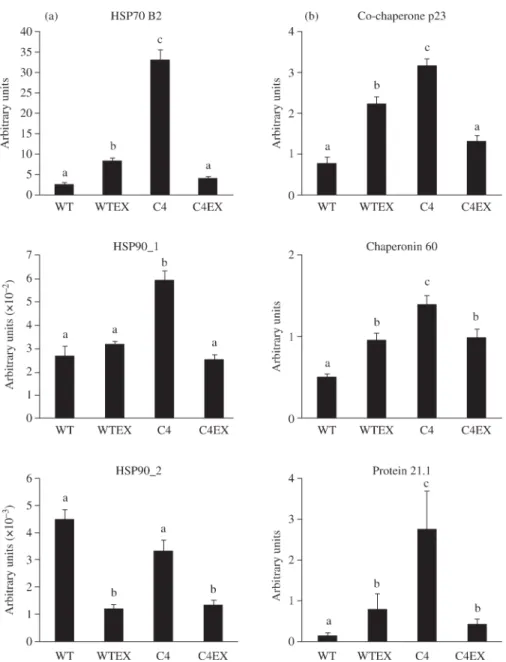 Figure 1. Quantification of gene expression in wild-type (WT) and nitazoxanide/metronidazole-resistant (C4) trophozoites and in the same lines (WTEX and C4EX) after en-/excystation by RT – PCR