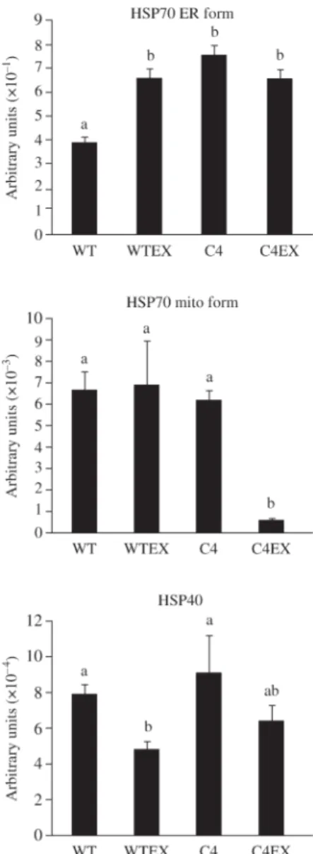 Figure 2. Quantification of heat-shock protein gene expression by RT – PCR in wild-type (WT), nitazoxanide/metronidazole-resistant (C4) trophozoites and in the same lines (WTEX and C4EX) after en-/excystation