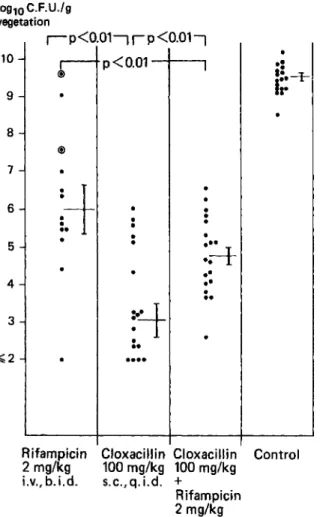 Figure 4. Serum bactericidal titers in rabbits with endo- endo-carditis due to Staphylococcus aureus 1 hr after treatment with rifampin (rifampicin), cloxacillin, or the  combina-tion