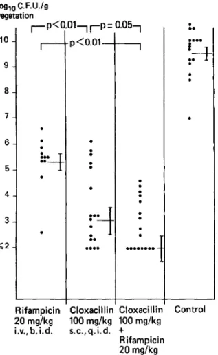 Figure 7. Efficacy of rifampin (rifampicin), cloxacillin, or the combination in reducing bacterial titers in cardiac valve vegetation in rabbits with experimental endocarditis due to Staphylococcus aureus