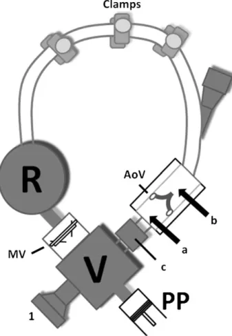 Fig. 1. The cardiovascular simulator. A double-valved (mitral (MV) and aortic valves (AoV)) left ventricle (V) is connected with a piston volumetric pump (PP)