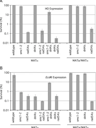 Figure 2. Sensitivity of yeast strains to genomic DSBs introduced by expression of HO or EcoRI endonuclease