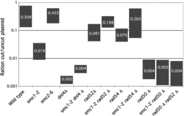 Figure 3. Episomal DNA double-strand break-rejoining assay. To show primary results, the entire ranges of relative transformation efficiencies (ratio cut/uncut plasmid) as obtained in three independent experiments are illustrated by boxes