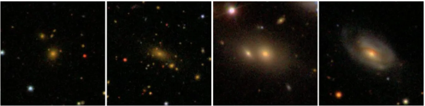 Figure 3. Examples of galaxies identified as BCGs in the maxBCG catalogue with reported r band luminosities (k-corrected to z = 0.25) of L BCG &gt;