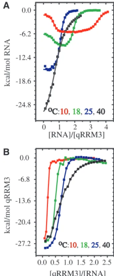 Figure 1. ITC binding isotherms between qRRM3 and G-tract RNA (A) Forward ITC titrations