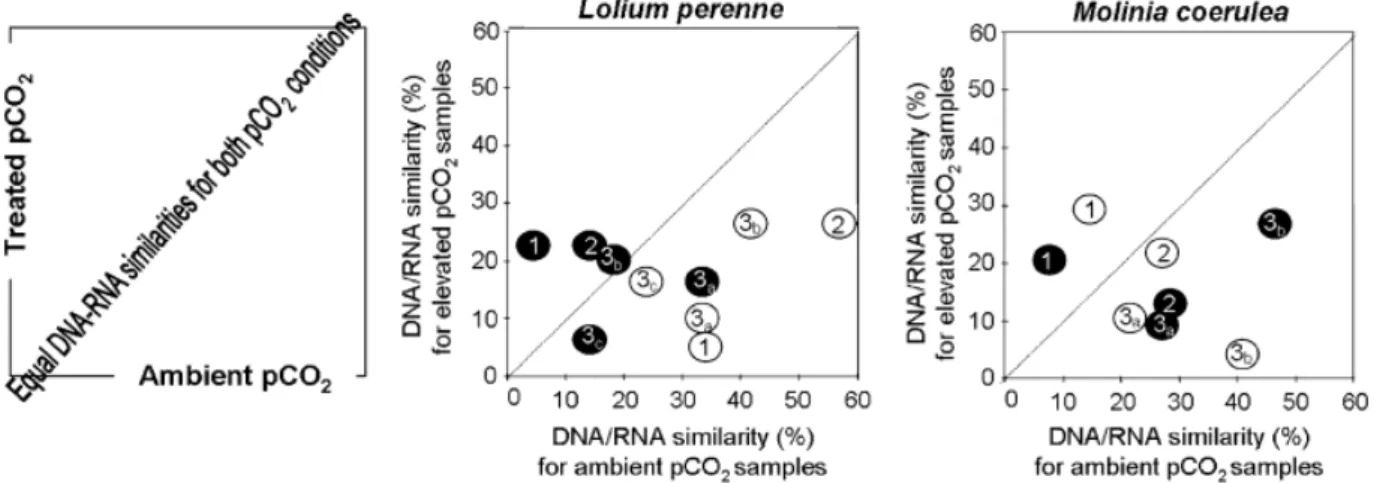 Fig. 2. DNA-/RNA-based profile similarity compared for ambient and elevated pCO 2 conditions (calculated with Steinhaus coefficient)
