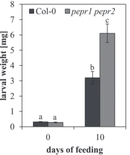 Fig. 4.  Generalist herbivores perform better on plants impaired in  AtPep-signalling