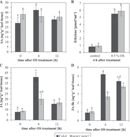 Fig. 5.  The detection of herbivore oral secretions induces JA biosynthesis in a PEPR-dependent manner