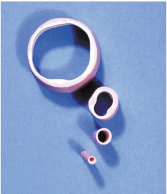 Fig. 1. Replica (1:1) of the human wall used as cover of the training model.