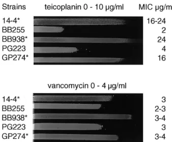 Fig. 1. Population analysis pro¢le of recipient, donor, and transductant on teicoplanin