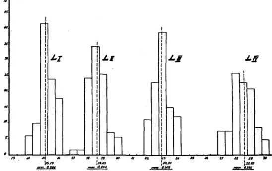 Fig. 5.—Maximum head width in each larval stage. The actual measurements of head width are shown in micrometer units, the mean for each instar being converted into mm.