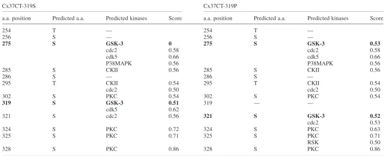 Table I. Predicted phosphorylation sites on the CT of Cx37-319S and Cx37-319P and predicted kinases associated