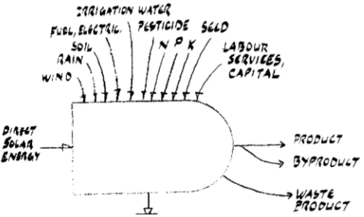 FIG. 2. Agricultural production process within the web of energy transformation processes (Odum, 1984).