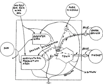 FIG. 4. Reconvergence of by-product flows in a web of energy trans- trans-formation processes (Odum, 1984).