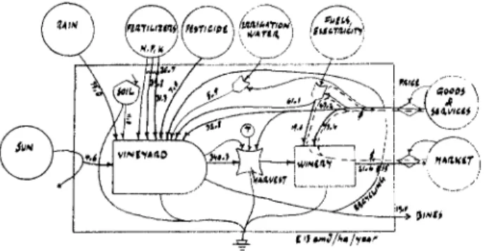 FIG. 6. Energy diagram of Geneva vineyard production, and further processing to wine.