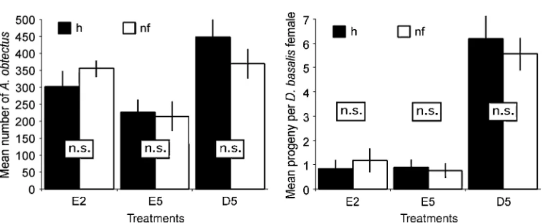 Fig. 4. Comparison of treatments with and without a food supplement: numbers of Acanthoscelides obtectus adults (per kg seed) and Dinarmus basalis progeny per female after a 16-week storage period