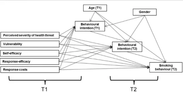 Fig. 1. Graphical representation of the estimated path analysis model. Notes: T1, assessed at baseline; T2, assessed at follow-up.