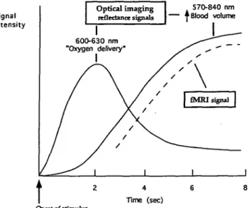 Figure 7. Temporal characteristics of reflectance signals obtained by optical imaging and the fMRI signal