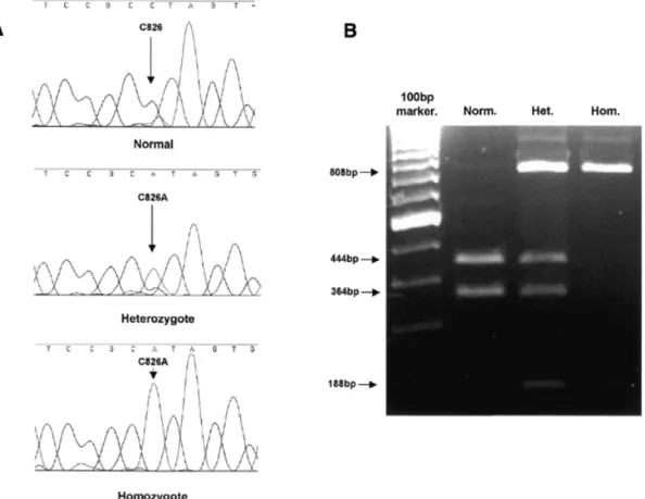 Figure 1. (A) Sequencing chromatograms showing the C826A mutation. (B) Restriction enzyme analysis of the C826A mutation