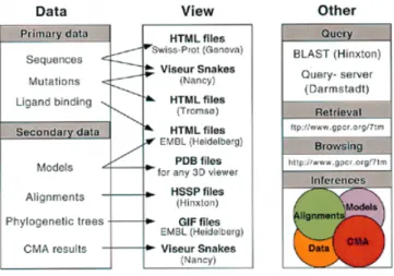 Figure 1. Schematic representation of the GPCRDB organisation. Data is shown at the left, the viewing methods in the middle and the database facilities at the right