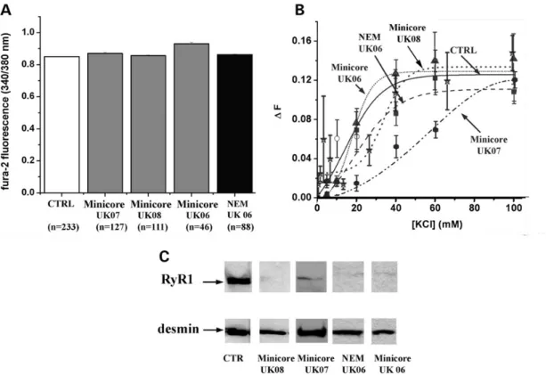 Figure 4B shows the relative content of HDAC-4 and HDAC-5 normalized for MHC content in biopsies from all the availableFigure 1.Myotubes from Minicore patients harbouring recessiveRYR1mutations do not show alterations of the resting [Ca2+] nor decreased Ca