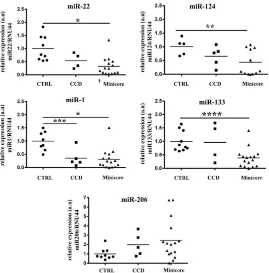 Figure 2. Muscle-speciﬁc miR expression levels differ in biopsies from patients with dominant and recessive RYR1 mutations
