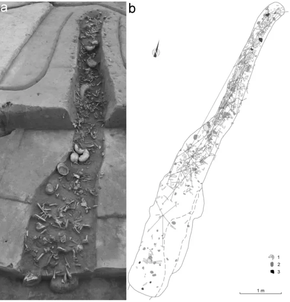 Figure 2. Deposit 9: view after excavation of the upper level of the deposit, with (right) plan of the deposit showing conjoined fragments: 1) bone; 2) pottery sherd; 3) grinding stone.