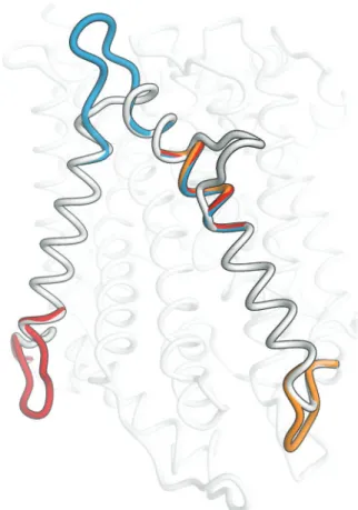 Fig. 4. Difference of QMEANBrane scores of three dopamine trans- trans-porter models with modified alignments versus the model built with the initial HHBlits alignment, represented by the first horizontal bar.