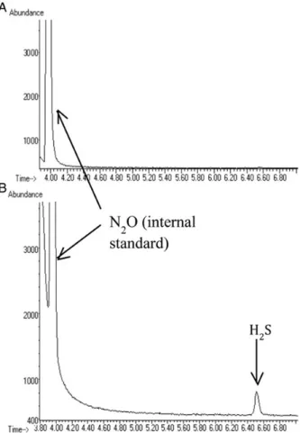 Figure 3. Selected ion monitoring (SIM) chromatograms of time-altered skeletal muscle in our laboratory (A) and of an actual case (H 2 S exposure followed by alteration) (B).