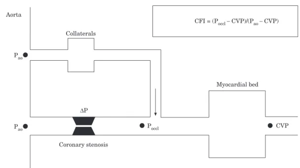 Figure 1 Schematic representation of a coronary artery stenosis bypassed by collaterals
