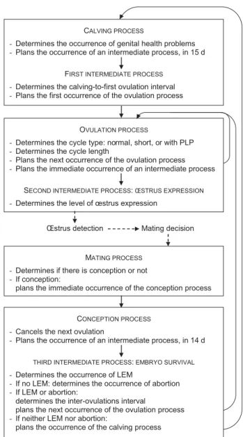 Figure 1 illustrates the model processes and their main actions. All the processes are registered in an agenda and the time progresses from one process to the other, following in chronological order