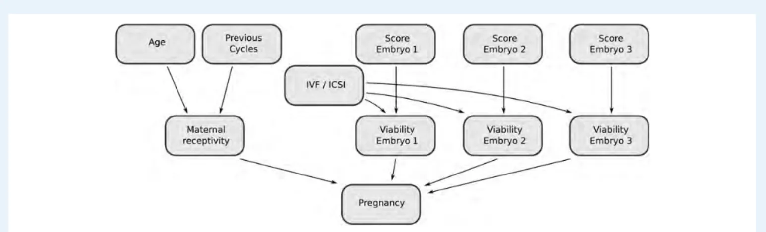 Table I Division of variables for the BN