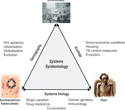 Figure 1 A ‘systems epidemiology’ approach to tuberculosis, which integrates demography, ecology and systems biology.