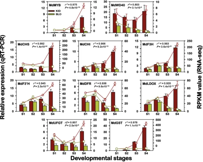 Fig. 5.  Comparison of expression profiles of ten representative genes from module ‘Pink’ as measured by RNA-seq and qRT-PCR