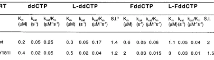 Table 5. Kinetic parameters for the incorporation of D- and L-(β)-ddCTP and D- and L-(β)-FddCTP catalysed by HIV-1 RT wt and the Y181I a