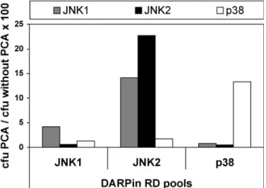 Fig. 6. Co-transformation of the RD-selected DARPin pools (2nd RD selection round) with their respective cognate target kinase and two unrelated kinases.