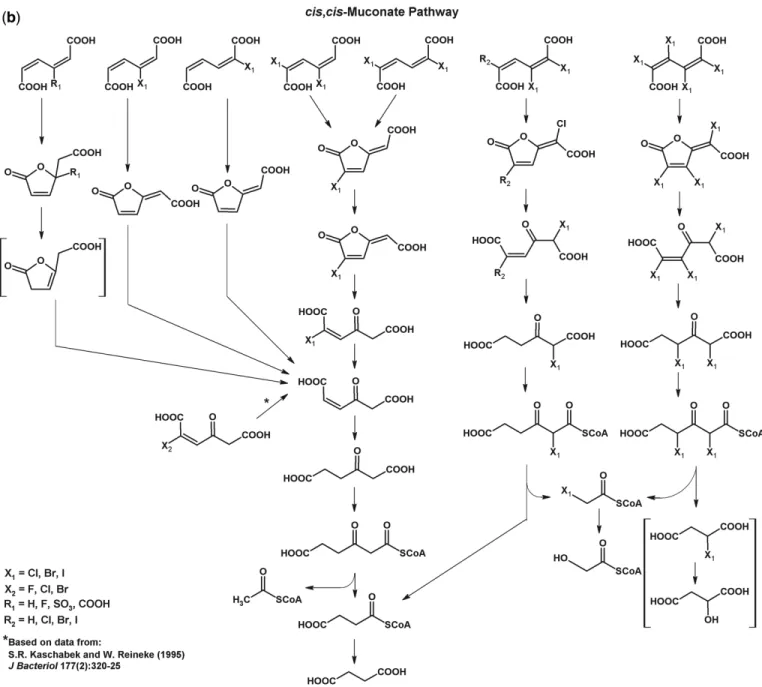 Figure 2. Continued.