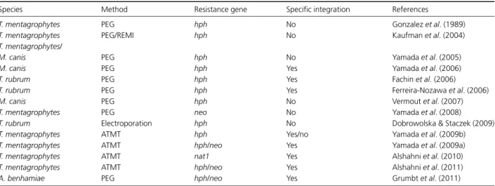 Table 1. Chronological overview of successful genetic transformation experiments in dermatophytes