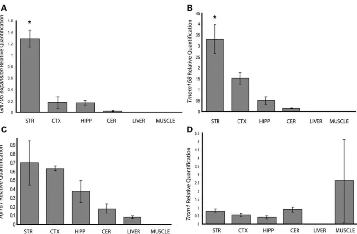 Figure 2. Examples of qRT – PCR results validating SAGE data. qRT – PCR was used for validation of 40 novel striatal-enriched transcripts obtained from SAGE and AIBS analysis